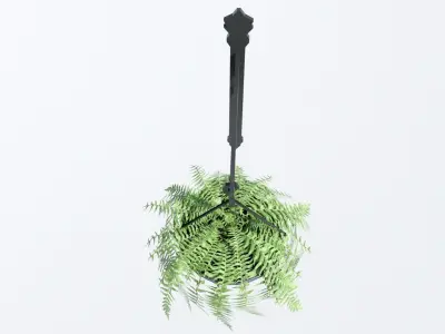 Fern in Hanging Pot Low-poly 3D model