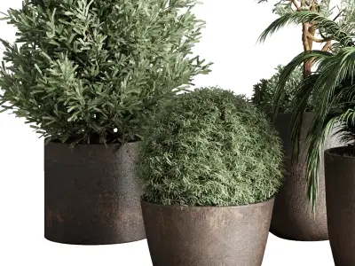 Collection Outdoor plant concrete dirt vase pot tree bush palm 3D model