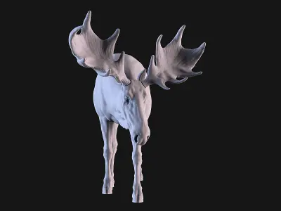 Moose 3D print model