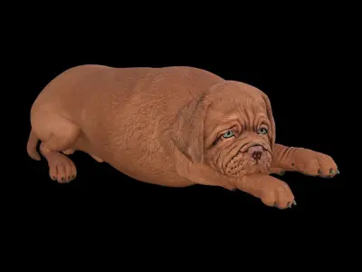 5 stand alone obj-12 3D model