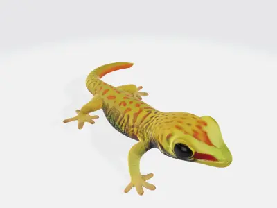Cute Gecko Lizzard Realistic Model High Poly 3D model