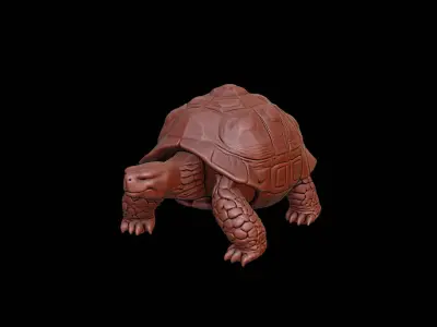 Tortoise Animal Sculpture 3D print model get