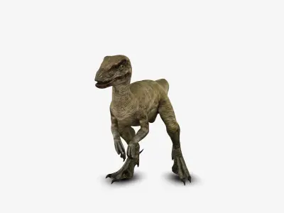 Velociraptor 3D model