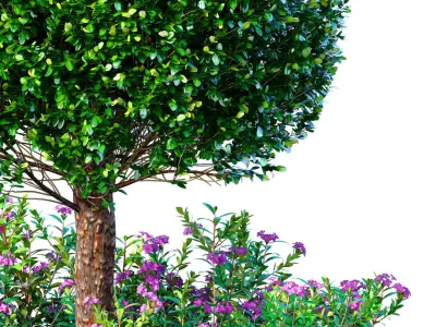 Boxwood with flowerbed garden planter for decoration for Porch  3D model