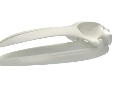 Blue Whale Skull 3D model