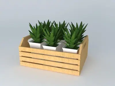 Tray with plants Free 3D model
