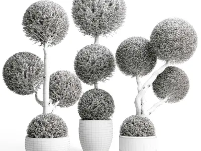 Topiary balls plants - Indoor plants in concrete pot set 454  3D model