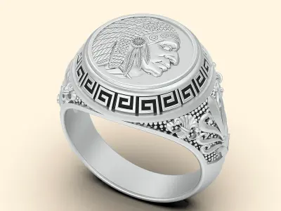 Indian man ring silver gold  printable jewelry 3D model 3D print model