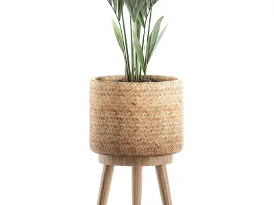 Decorative palm in a in a basket 622 3D model