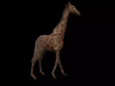 Giraffe 3D model