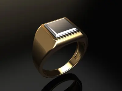 Square Signet Ring Two Tone Mix Size 3D print model