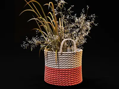 Field plants set 3D model
