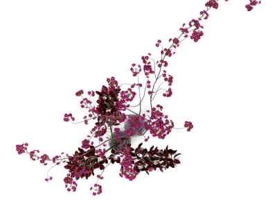 Cymbidium orchid and cherry branches 3D model