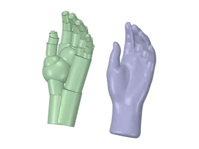 Reverse Engineered Hand model using simple features Free 3D model