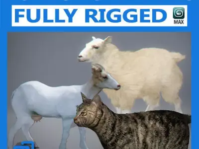 Pack - Domestic Animals Rigged 3D model