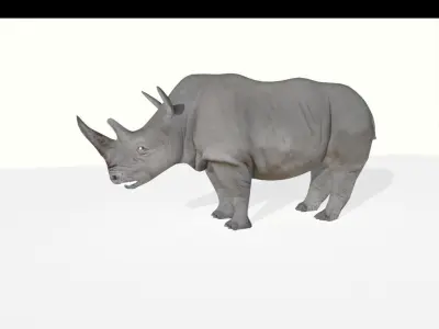 rhino lowpoly rhinoceros Low-poly 3D model