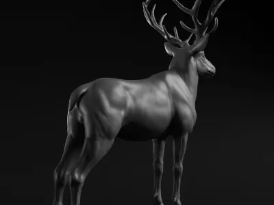 Deer - Highpoly Sculpture 3D model  3D model