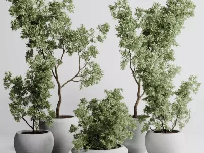 Collection indoor outdoor plant 288 plant tree 3D model