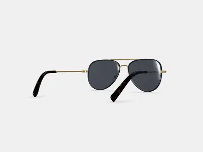 Raider Sunglasses in Brushed Ink with Polished Gold 3D model