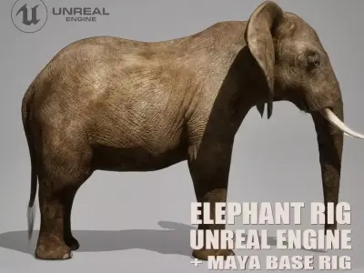 African Elephant RIG UNREAL project  Maya base rig 3D model