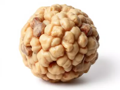 HQ PBR Textures Set  Nut Shell Bumpy Texture