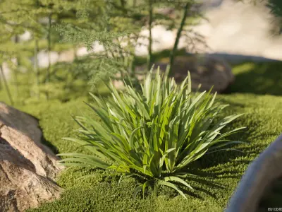 Maxtree Plant Models Vol 78 - Mesh 3D model