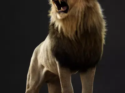 Lion 2025 - static version - Xgen-Core 3D model