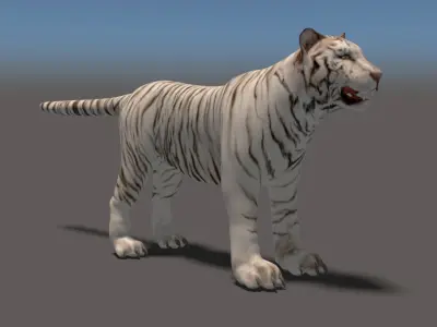 White Tiger High Poly and Low Poly Low-poly 3D model