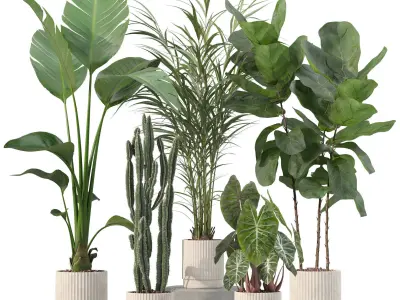 20 Photorealistic Flowers for Interiors - set 201 202 203 204 3D Model Collection