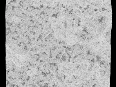 346-RockPanel piece of rock on wall 3D model