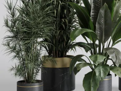 indoor plant 557 pot plant tree metal and marble dirt vase 3D model