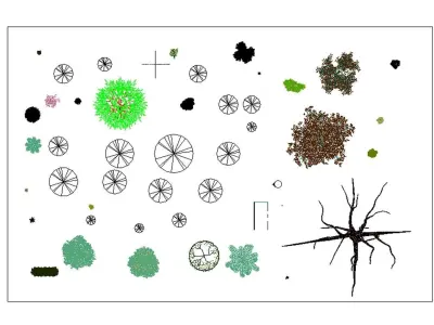 Autodesk Revit Tree Family collection  Free 3D model