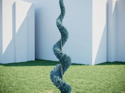 Cypress - Cupressus Arizonica Spiral 3D model