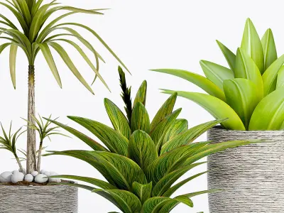 Decorative plant set-7 3D model