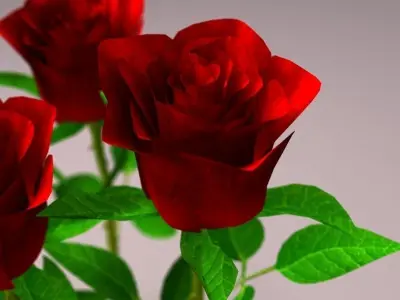 Realistic Rose 3D model