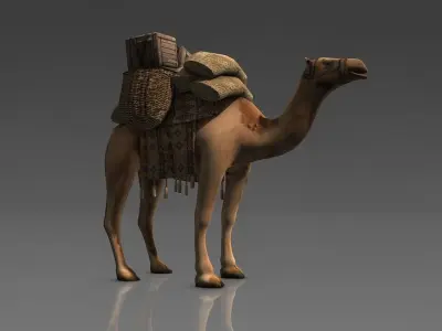 Loaded camel Low-poly 3D model