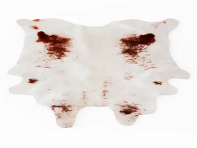 White And Brown Cowhide Animal Rug Fur 3D model