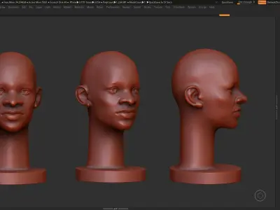 human head modern sculpture 3d print model 109 3D print model
