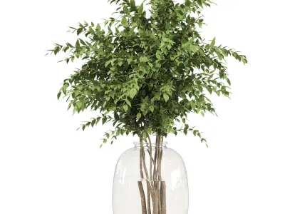 collection Plants Bouquet Indoor glass vase 06 3D model