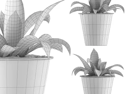 Plants Collection 105 3D model