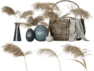 Reed Set vase with dried grass in it 3D model
