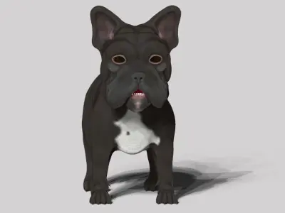 frenchie bulldog Low-poly 3D model