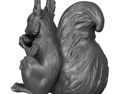 Squirrel 3D print model