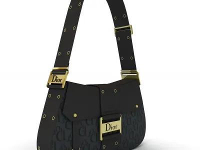 Dior Street Chic Bag Black Print 3D model