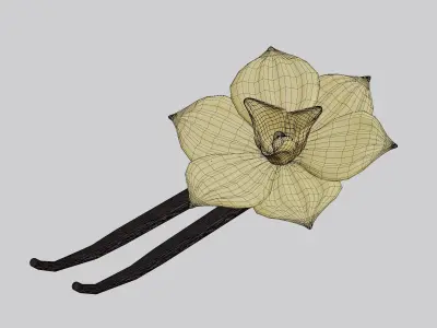 Vanilla flower Low-poly 3D model