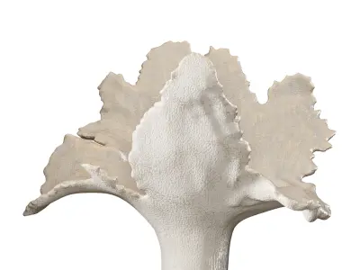 Sculptures 33 3D model