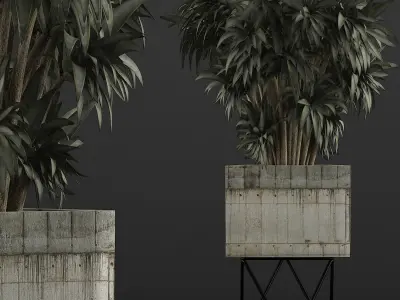 Plants Collection 80 3D model