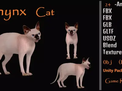 Sphynx Cat Low-poly 3D model