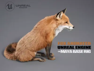 Fox Animated  - UNREAL project  and Maya base rig 3D model