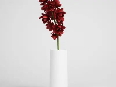 CGAxis models volume 6 FLOWERS 3D model